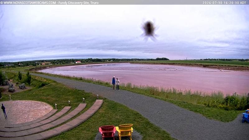 Fundy Discovery Site