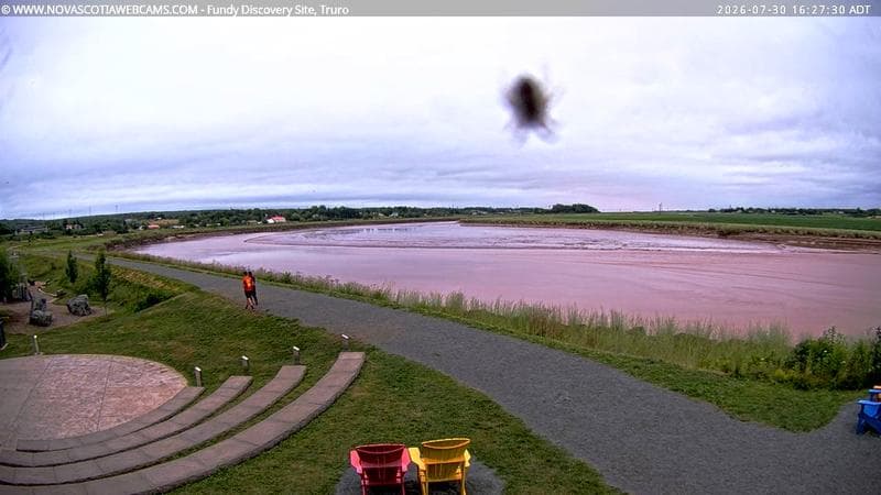 Fundy Discovery Site