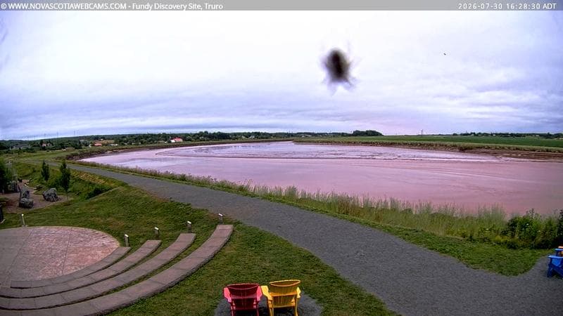 Fundy Discovery Site