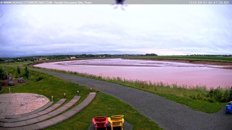 Fundy Discovery Site