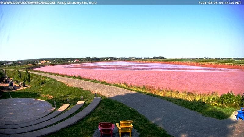 Fundy Discovery Site