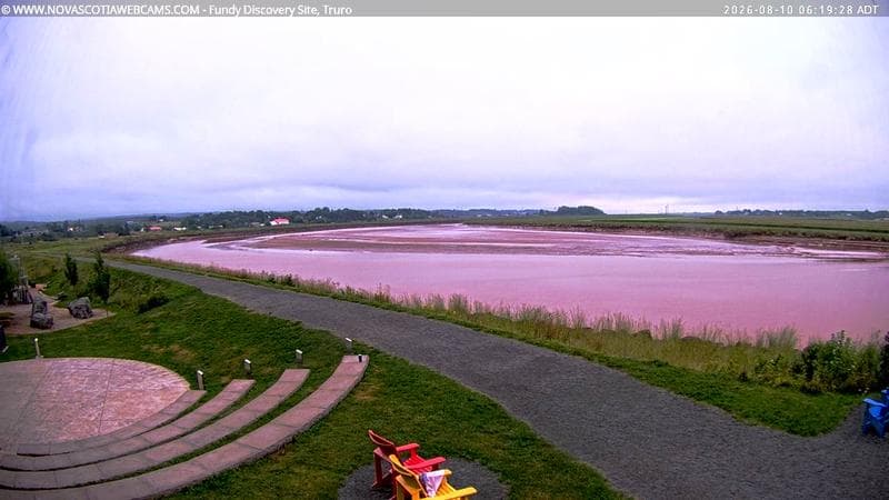 Fundy Discovery Site