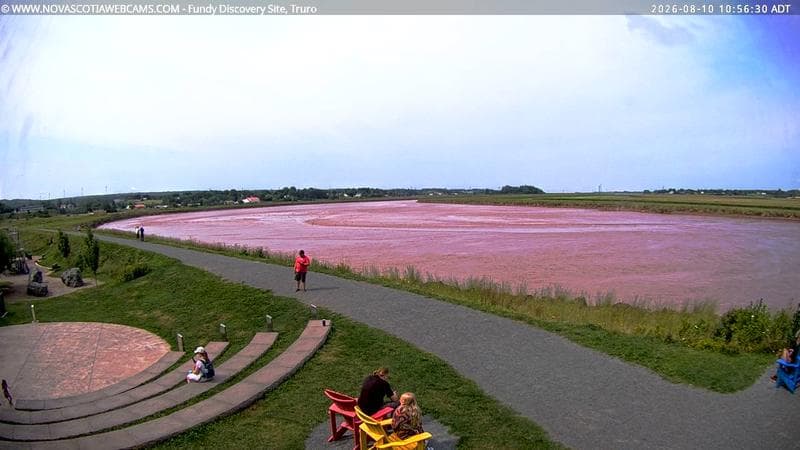 Fundy Discovery Site