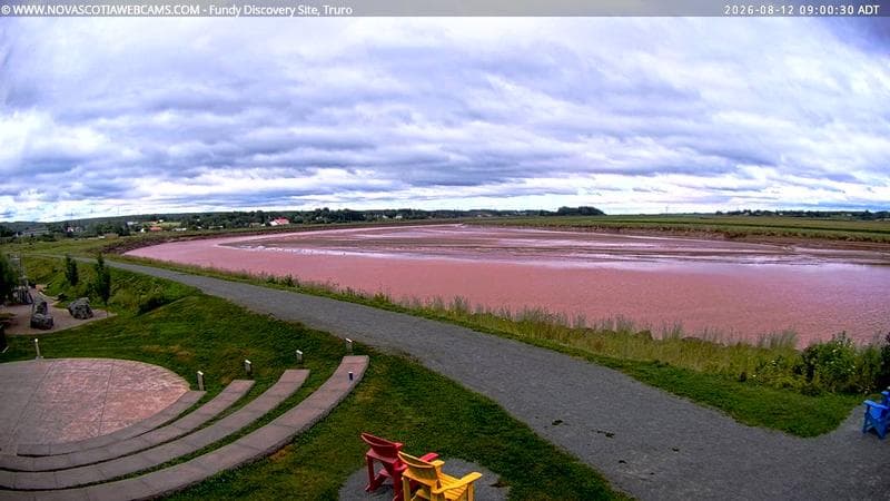 Fundy Discovery Site