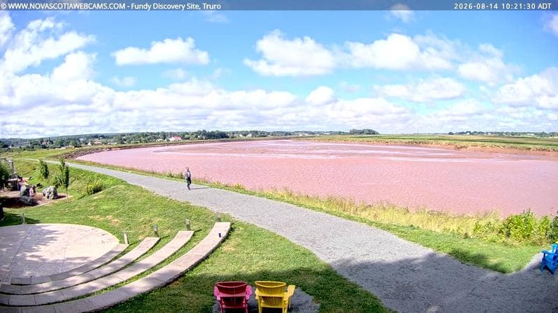 Fundy Discovery Site