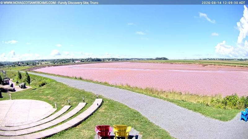 Fundy Discovery Site
