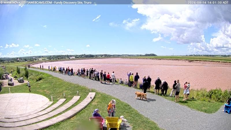 Fundy Discovery Site