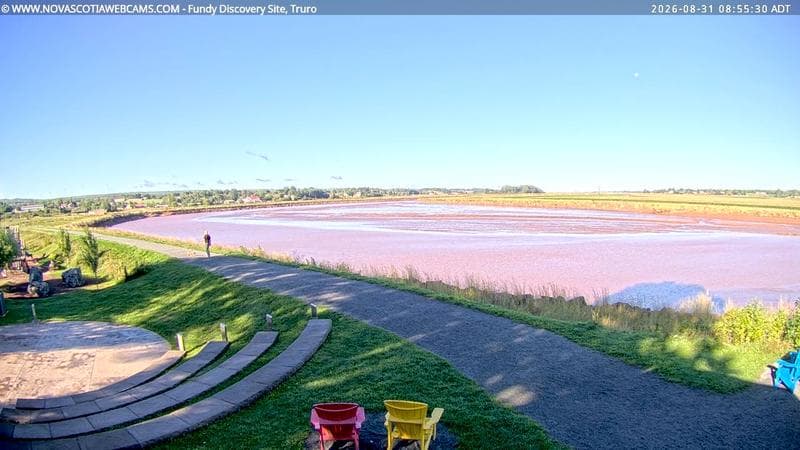 Fundy Discovery Site