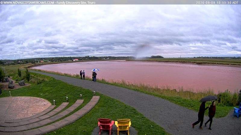 Fundy Discovery Site