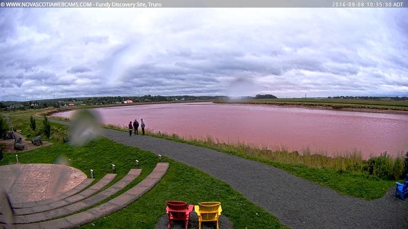 Fundy Discovery Site