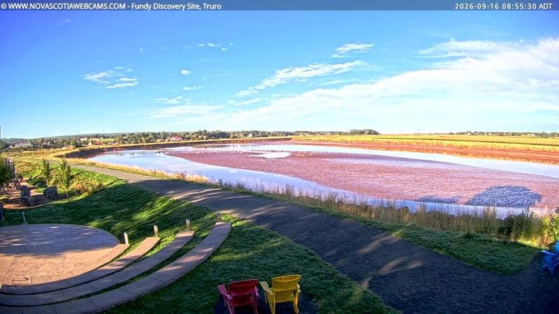 Fundy Discovery Site