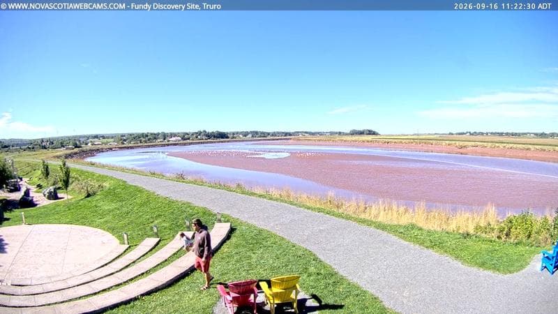 Fundy Discovery Site