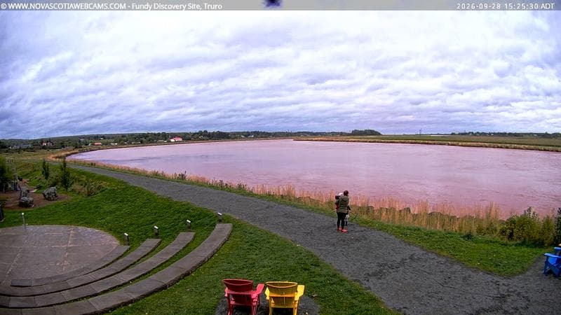 Fundy Discovery Site