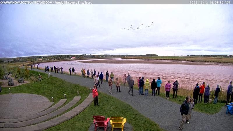 Fundy Discovery Site