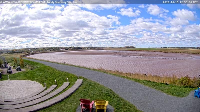 Fundy Discovery Site