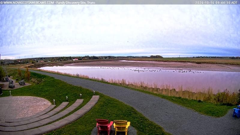 Fundy Discovery Site