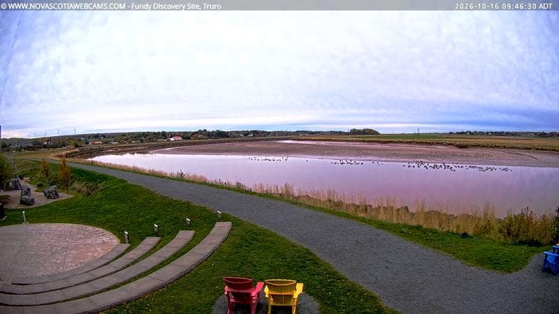 Fundy Discovery Site