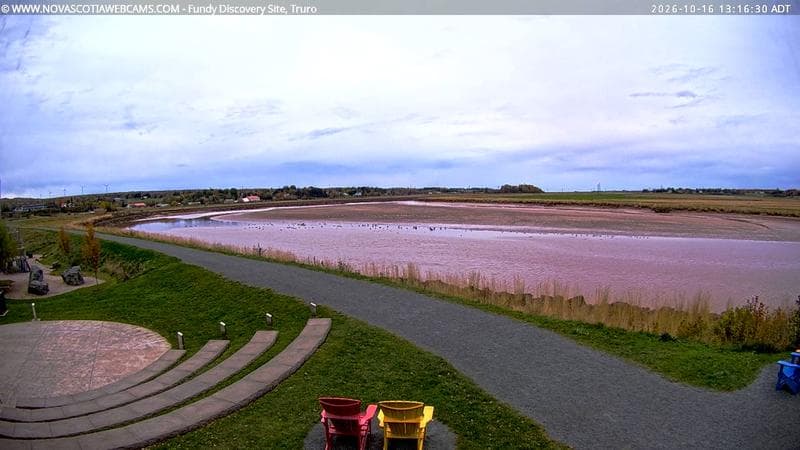 Fundy Discovery Site