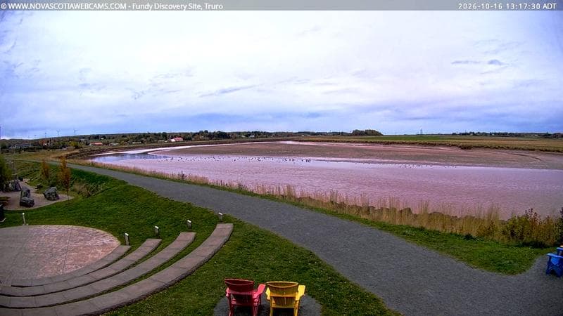 Fundy Discovery Site
