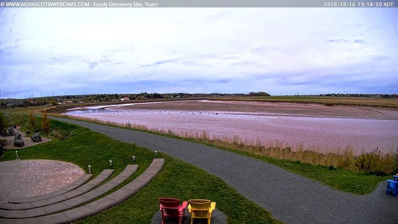 Fundy Discovery Site