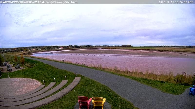 Fundy Discovery Site