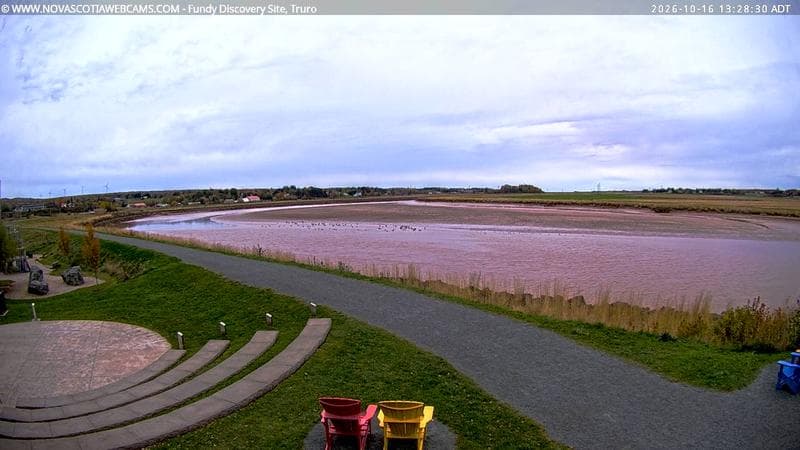 Fundy Discovery Site