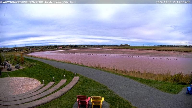 Fundy Discovery Site