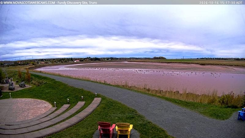 Fundy Discovery Site