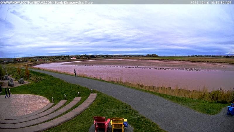 Fundy Discovery Site