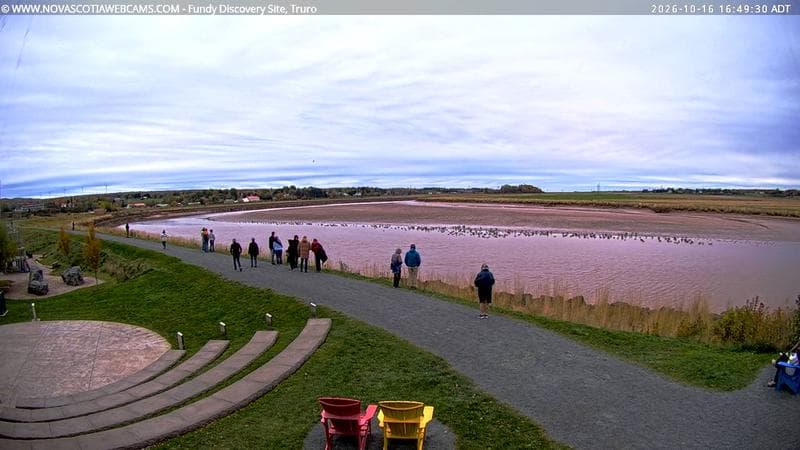 Fundy Discovery Site