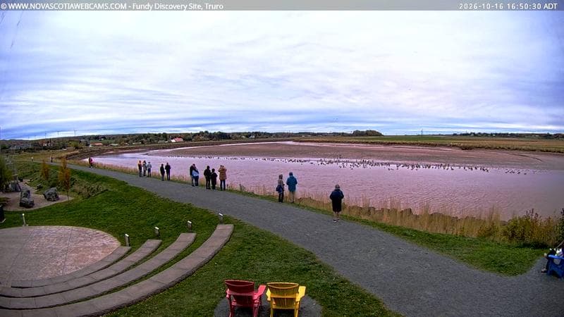 Fundy Discovery Site