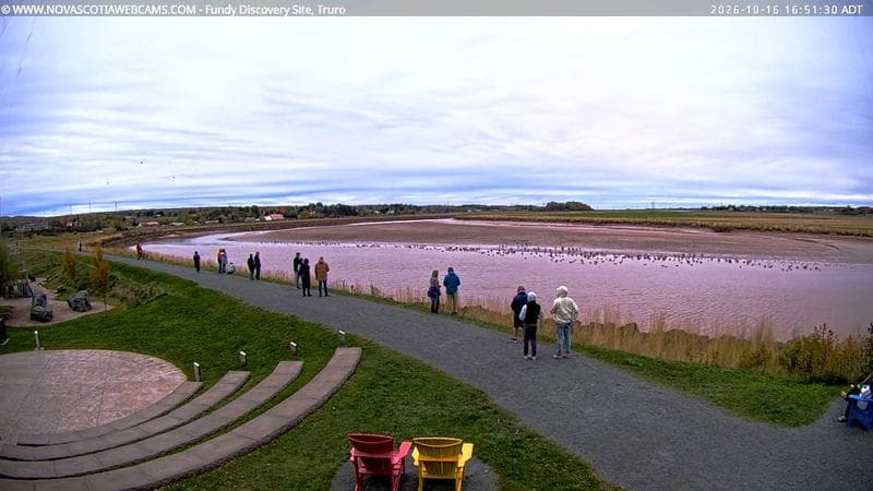 Fundy Discovery Site
