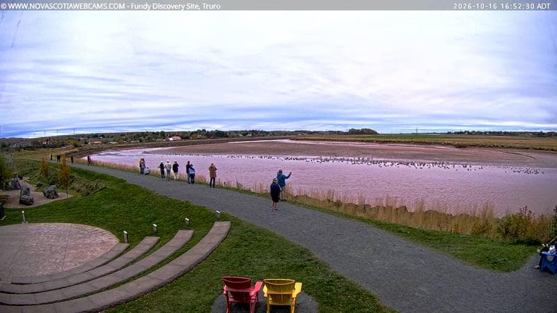 Fundy Discovery Site