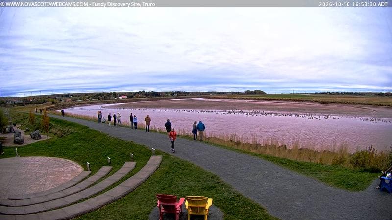 Fundy Discovery Site
