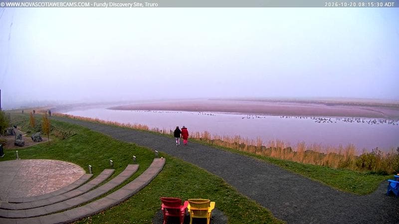 Fundy Discovery Site