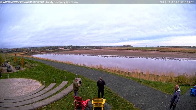 Fundy Discovery Site
