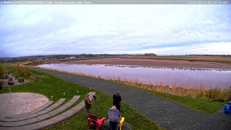 Fundy Discovery Site