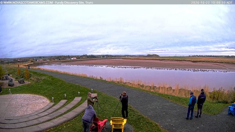 Fundy Discovery Site