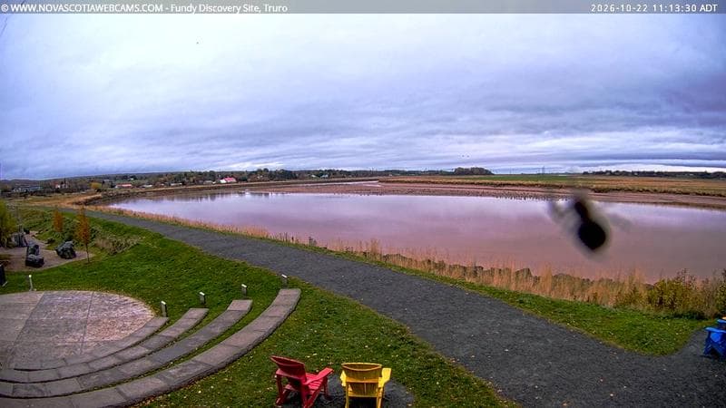 Fundy Discovery Site