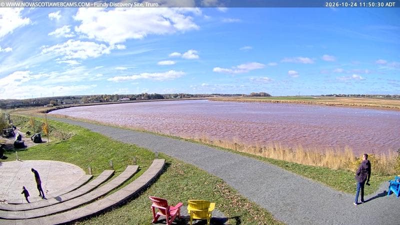 Fundy Discovery Site