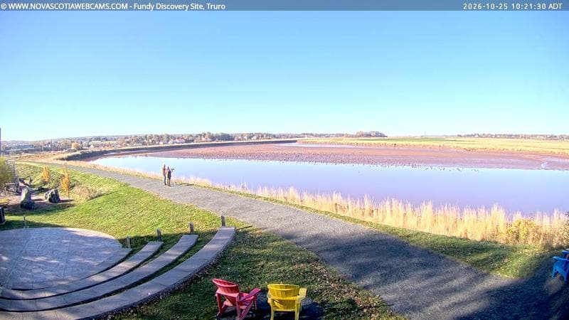 Fundy Discovery Site