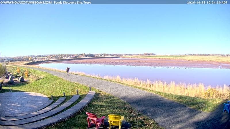 Fundy Discovery Site
