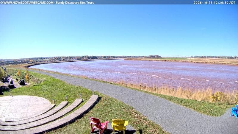 Fundy Discovery Site