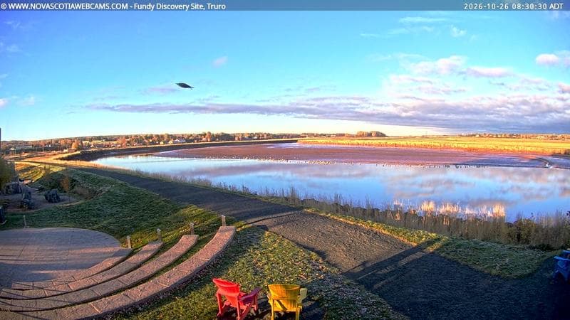 Fundy Discovery Site