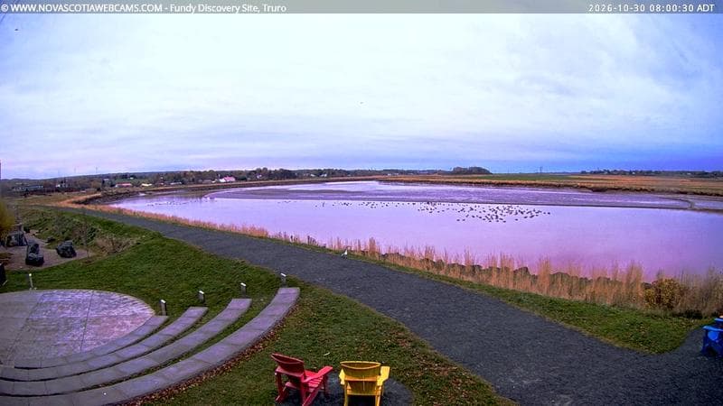 Fundy Discovery Site