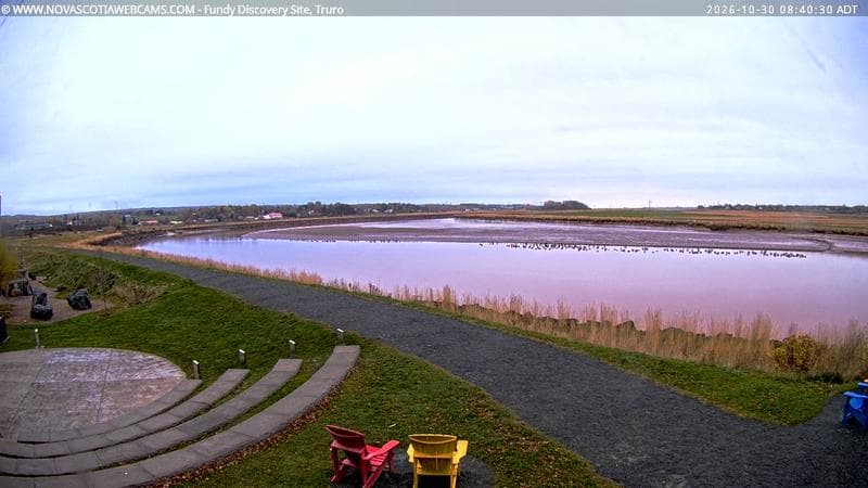 Fundy Discovery Site