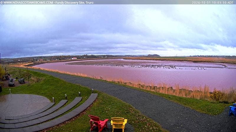 Fundy Discovery Site