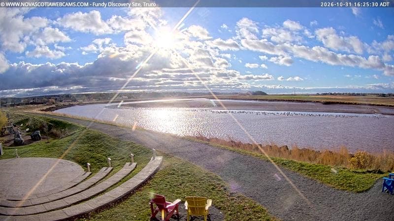 Fundy Discovery Site