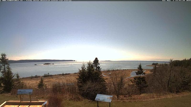 Fundy FORCE
