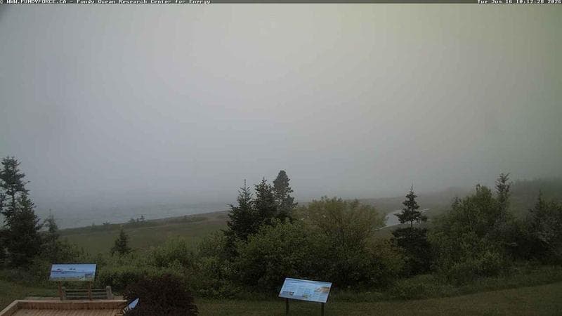 Fundy FORCE